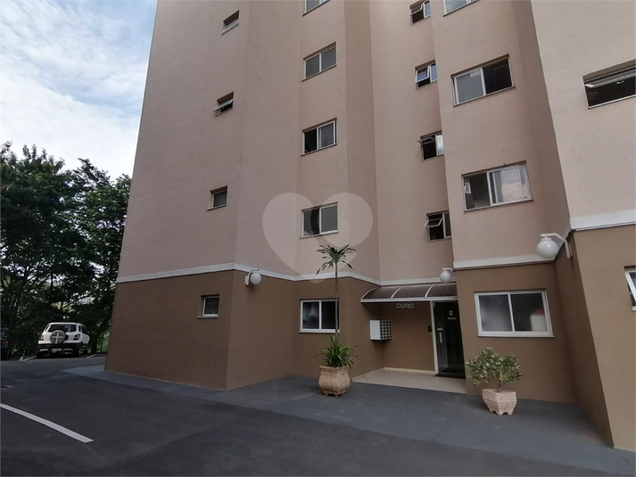 Aluguel Apartamento Valinhos Vila Pagano REO739380 2