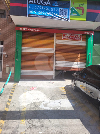 Foto REO739410
