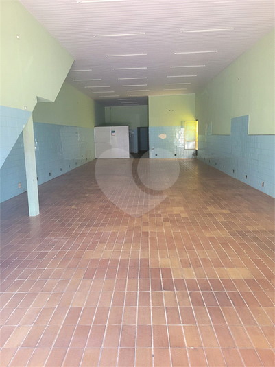 Foto REO739410