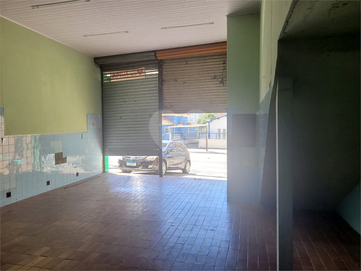 Foto REO739410