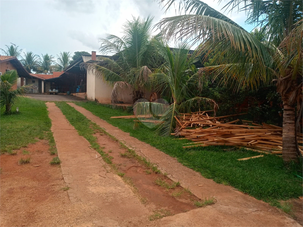 Venda Chácara Engenheiro Coelho Área Rural De Engenheiro Coelho REO739719 15