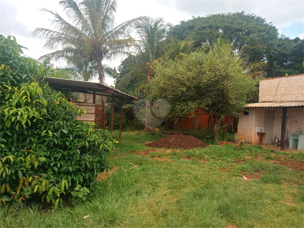 Venda Chácara Engenheiro Coelho Área Rural De Engenheiro Coelho REO739719 7