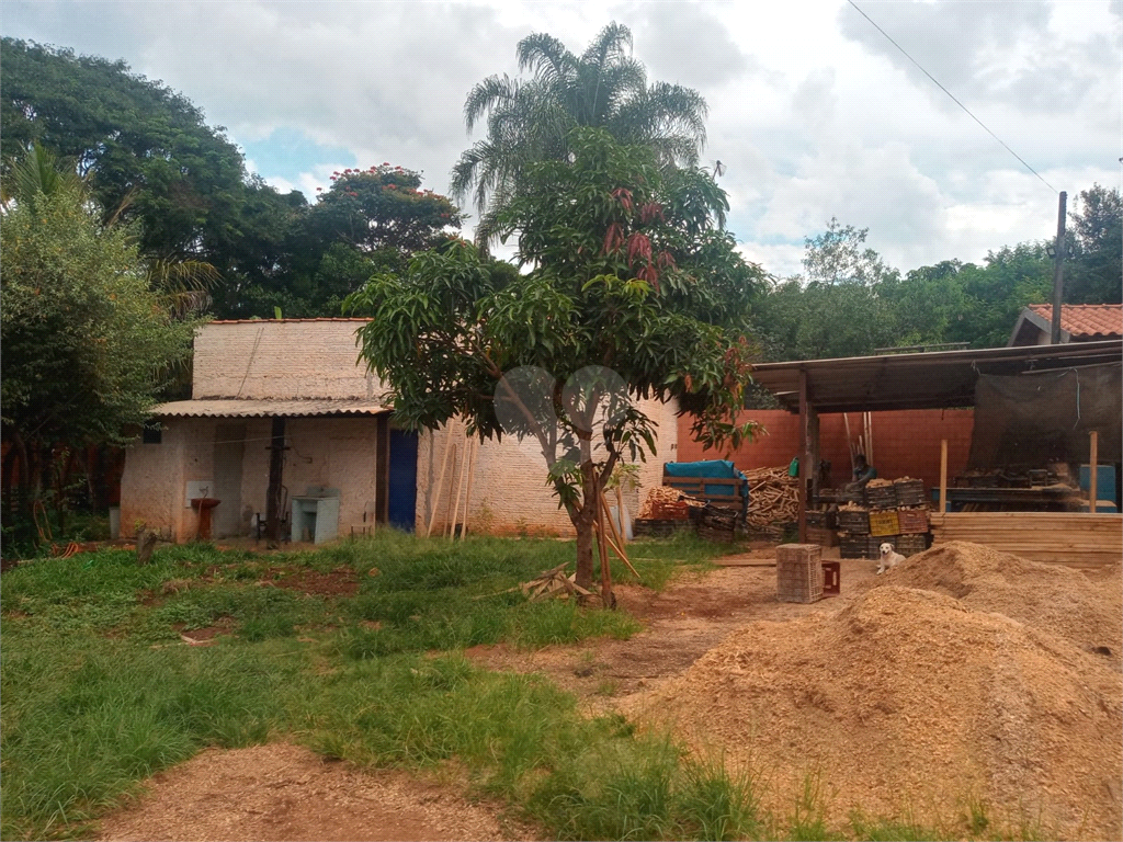 Venda Chácara Engenheiro Coelho Área Rural De Engenheiro Coelho REO739719 5