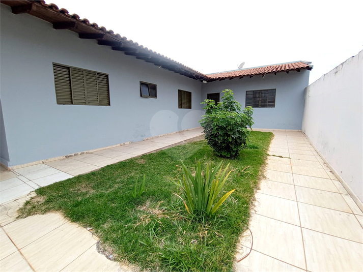 Foto REO739722