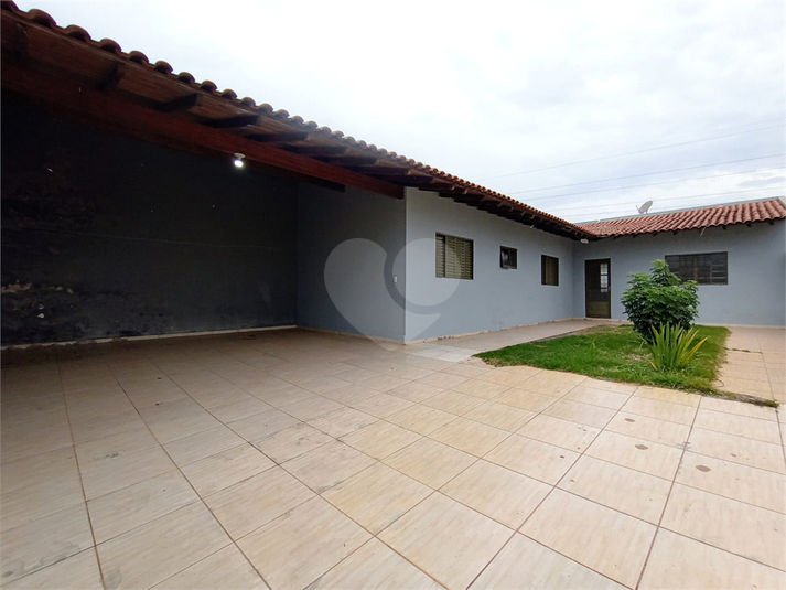 Foto REO739722