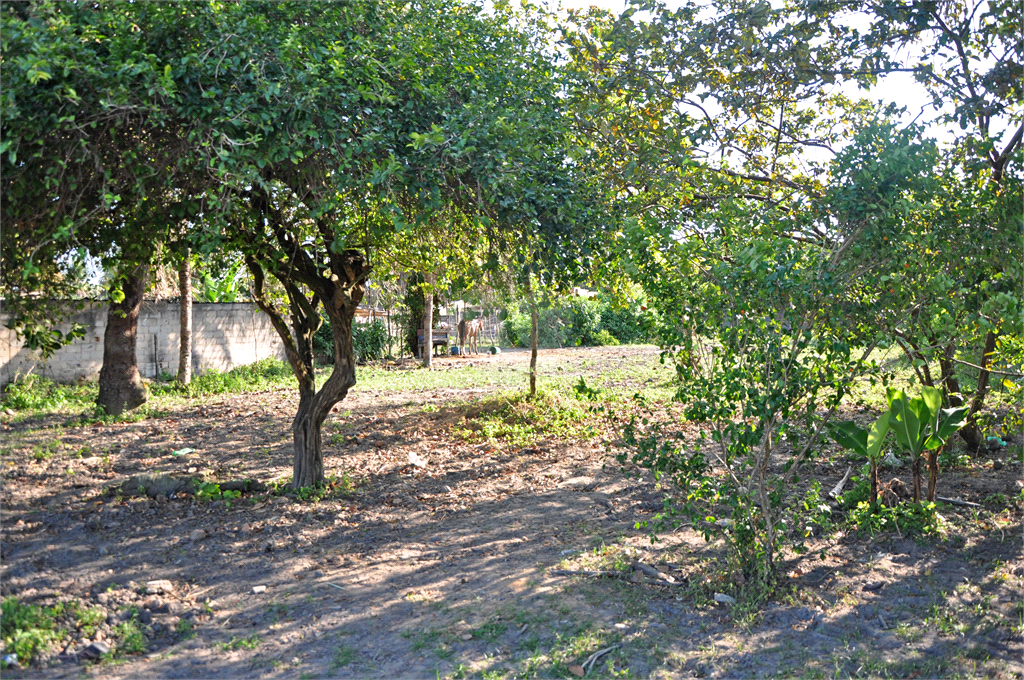 Venda Terreno Maceió Cidade Universitária REO739776 6