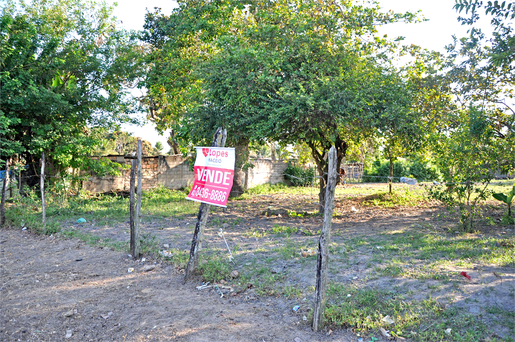 Venda Terreno Maceió Cidade Universitária REO739776 9