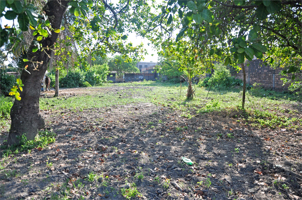 Venda Terreno Maceió Cidade Universitária REO739776 8