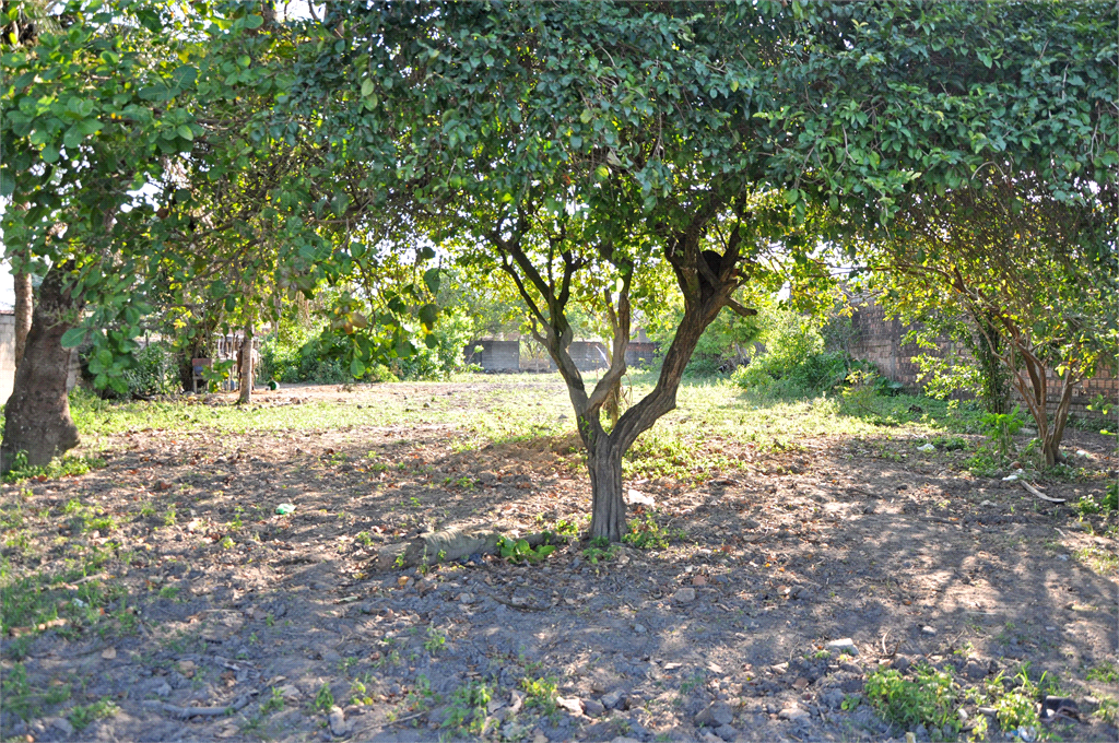 Venda Terreno Maceió Cidade Universitária REO739776 5