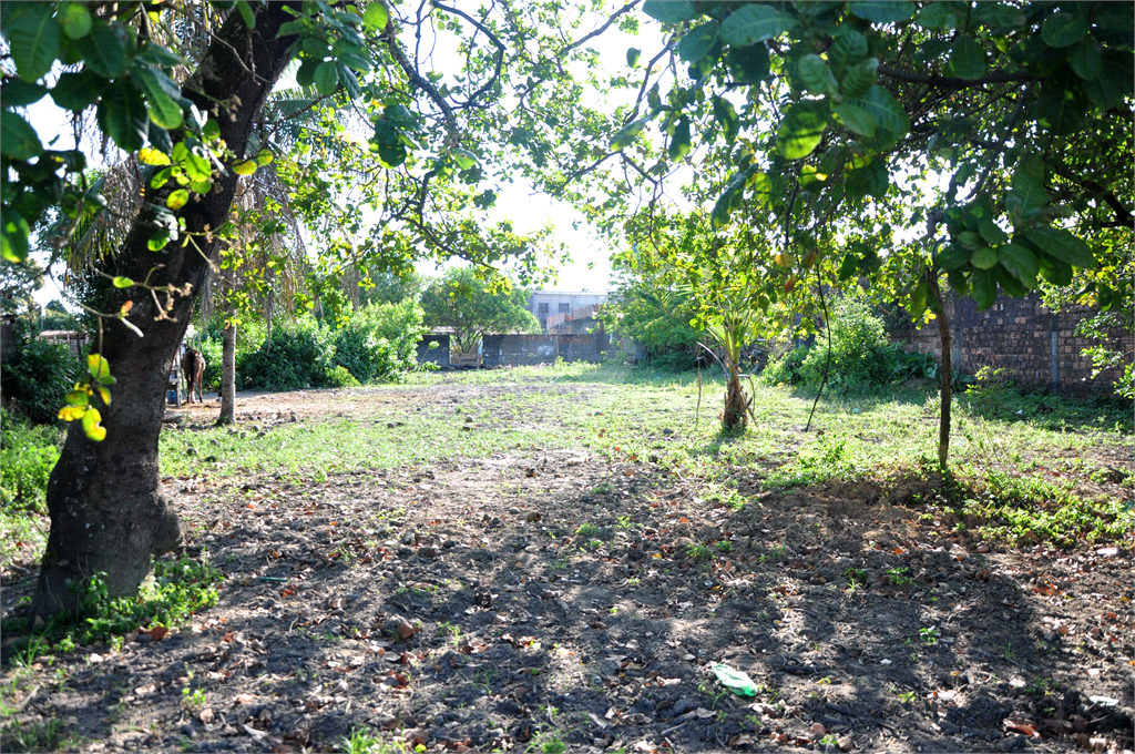 Venda Terreno Maceió Cidade Universitária REO739776 7