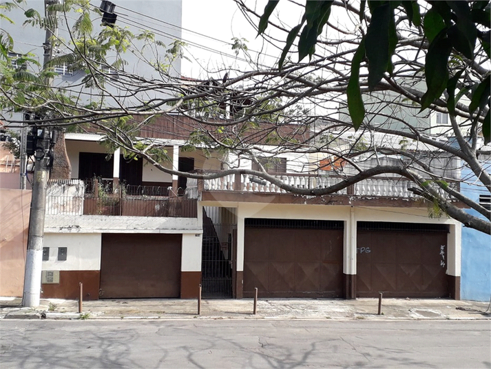 Foto REO740198