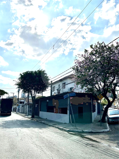 Foto REO740321