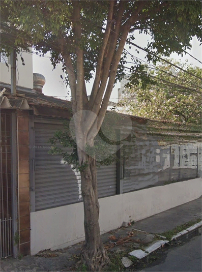 Foto REO740321