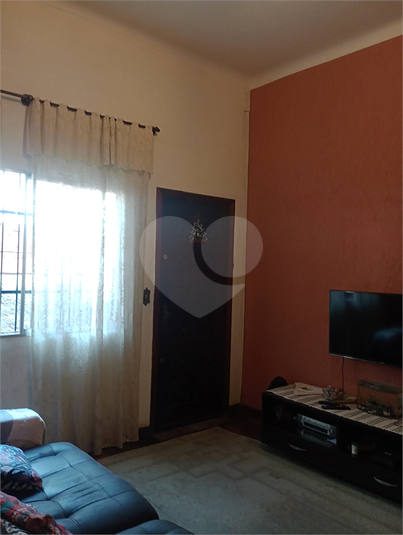 Foto REO740647