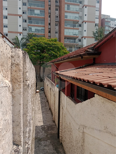 Foto REO740651