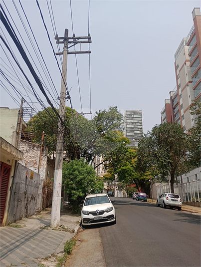 Foto REO740651