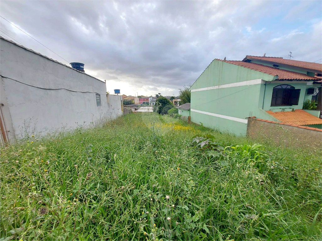 Venda Terreno Cachoeirinha Vila Fátima REO740841 4