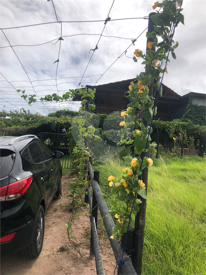 Venda Chácara Monte Alegre Centro REO740874 27