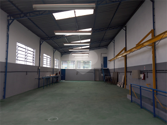Foto REO741169