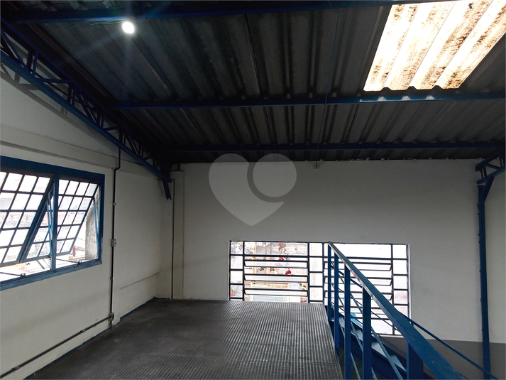 Foto REO741169