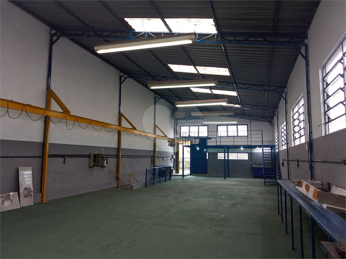 Foto REO741169