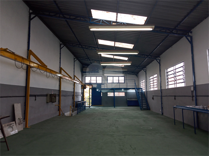 Foto REO741169