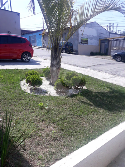 Foto REO741454