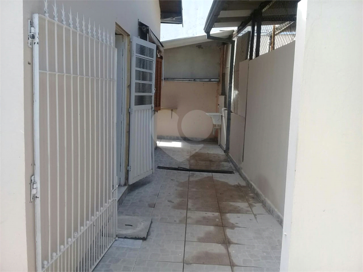 Foto REO741547
