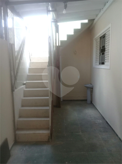 Foto REO741547