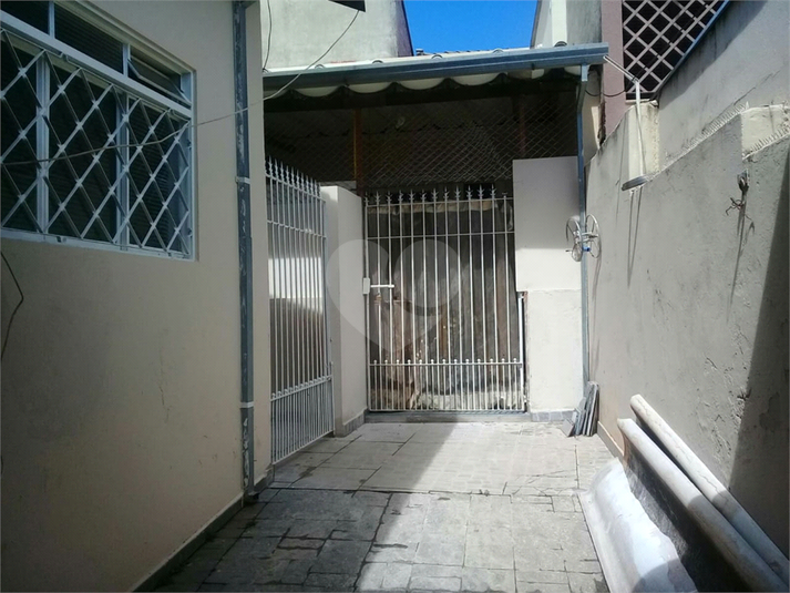 Foto REO741547