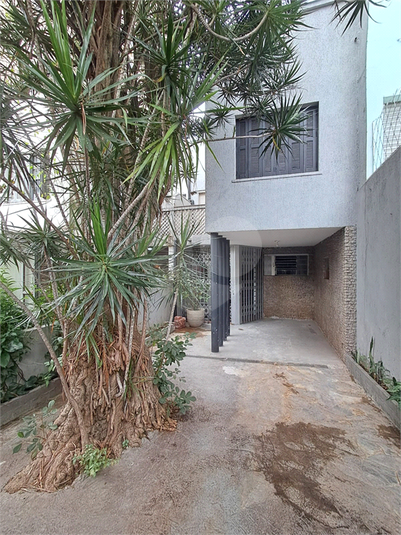 Foto REO74156