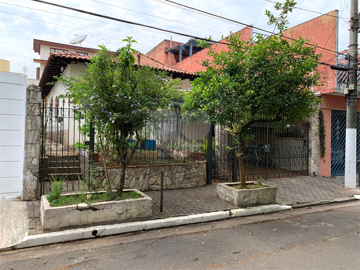 Foto REO741922