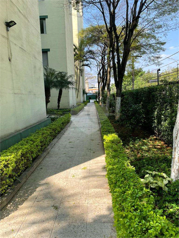 Venda Apartamento São Paulo Imirim REO742019 5