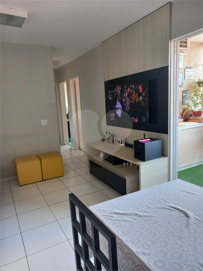 Venda Apartamento Goiânia Setor Faiçalville REO742522 1