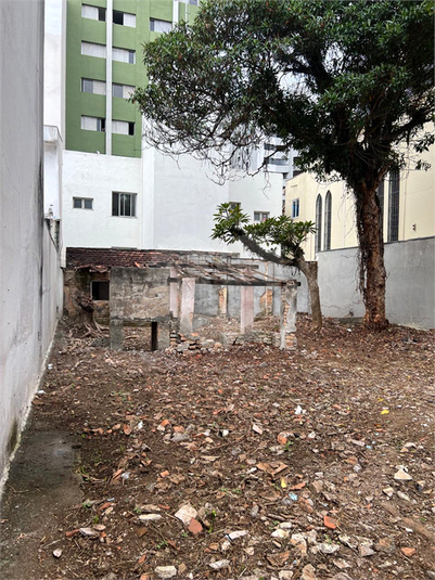 Foto REO742639