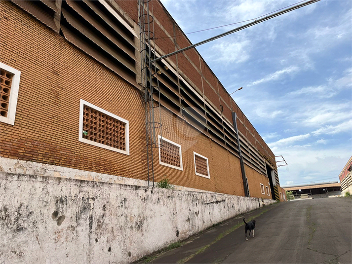 Venda Galpão Piracicaba Vila Rezende REO742889 11