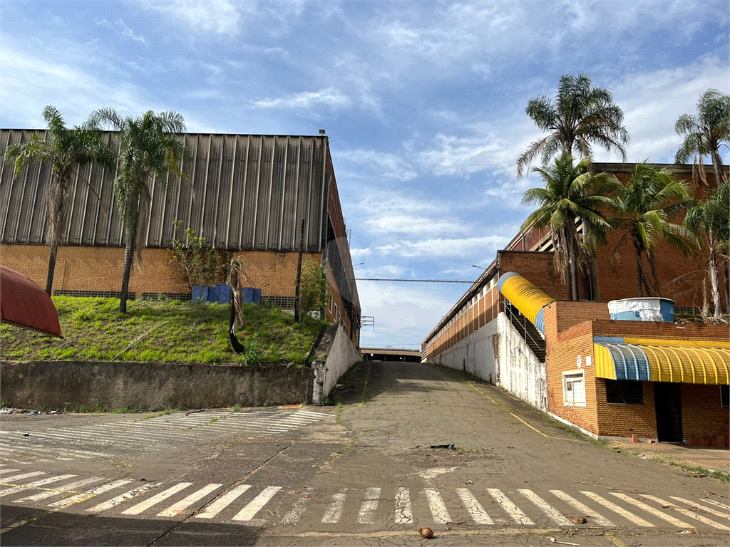 Venda Galpão Piracicaba Vila Rezende REO742889 1