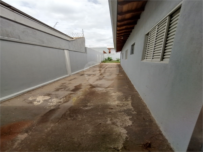 Foto REO743245