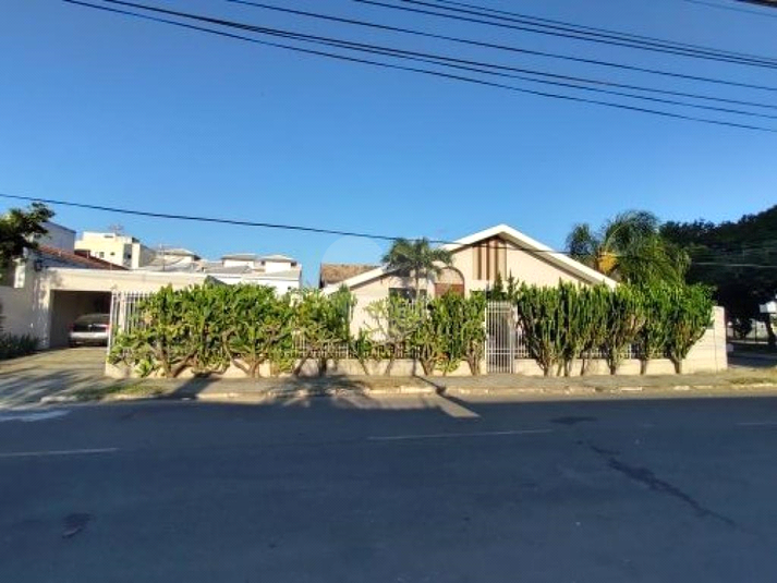 Foto REO743881