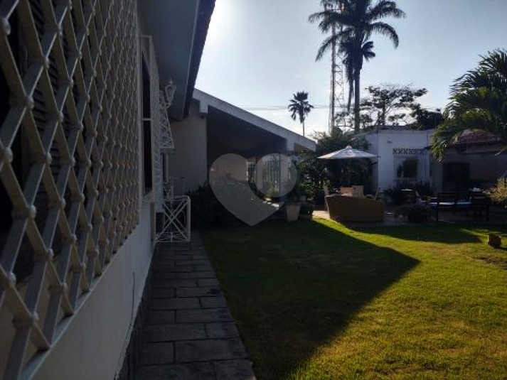 Foto REO743881