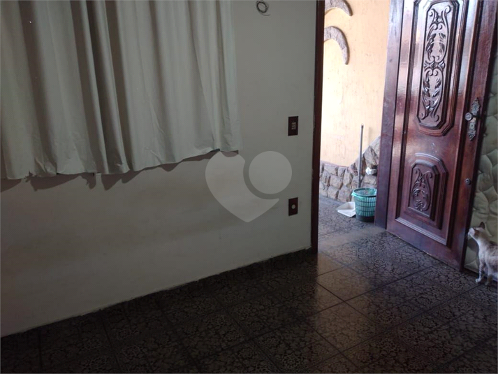 Foto REO743952