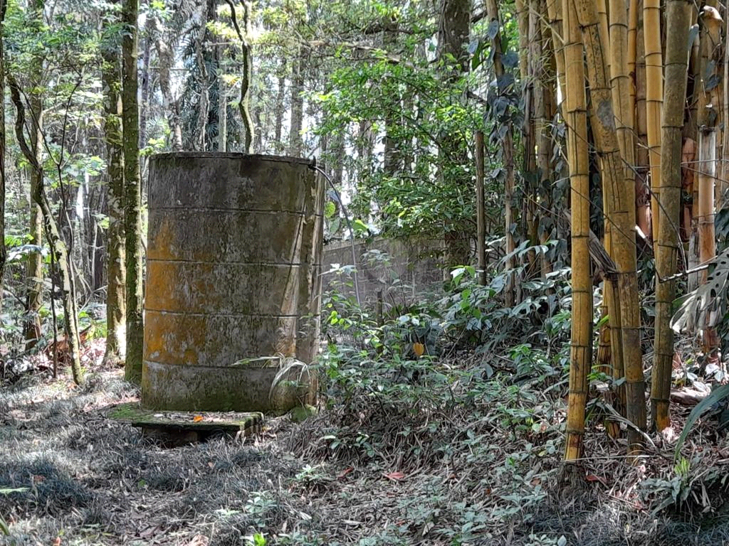 Venda Chácara Mairiporã Caraguatá REO744409 21