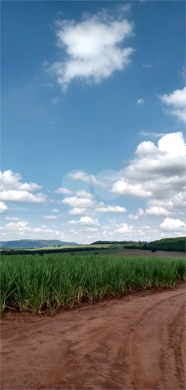 Venda Fazenda Ribeirão Preto Área Rural De Ribeirão Preto REO745817 21