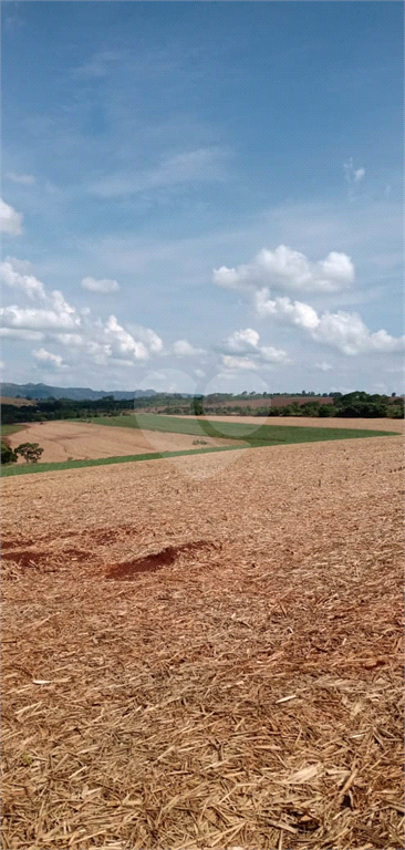 Venda Fazenda Ribeirão Preto Área Rural De Ribeirão Preto REO745817 17