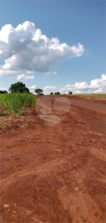 Venda Fazenda Ribeirão Preto Área Rural De Ribeirão Preto REO745817 11