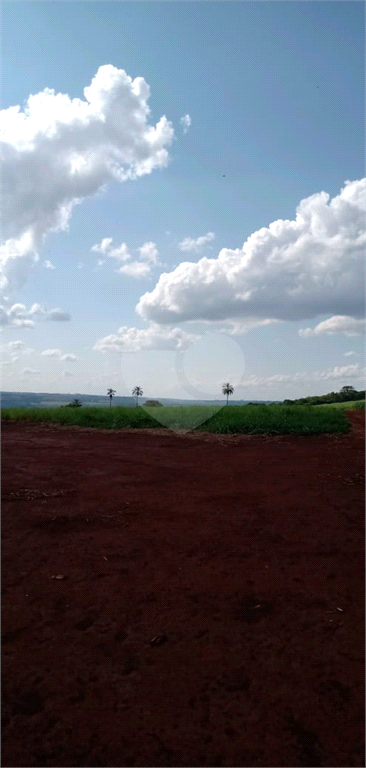 Venda Fazenda Ribeirão Preto Área Rural De Ribeirão Preto REO745817 13