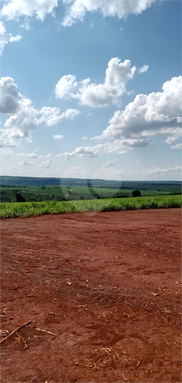 Venda Fazenda Ribeirão Preto Área Rural De Ribeirão Preto REO745817 5