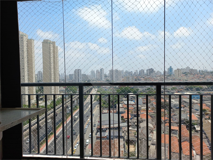 Foto REO745871
