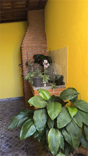 Foto REO746019