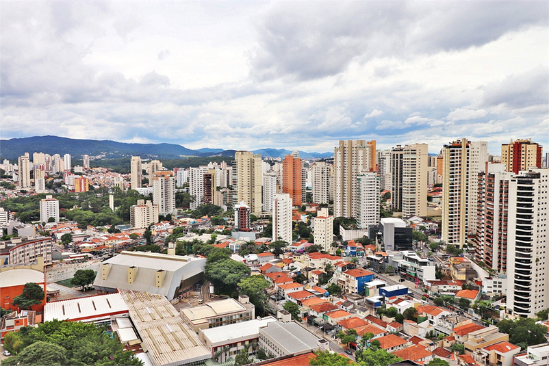 Foto REO746267